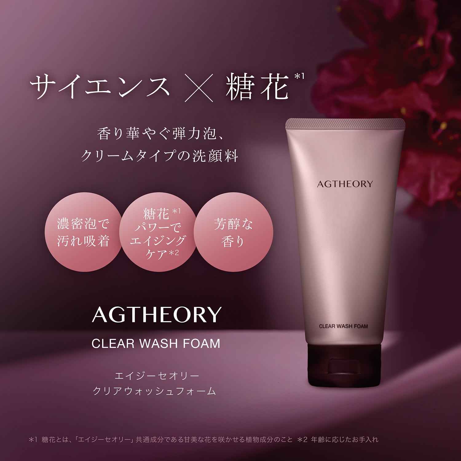 AGTHEORY 抗糖滋養潔面乳 100g