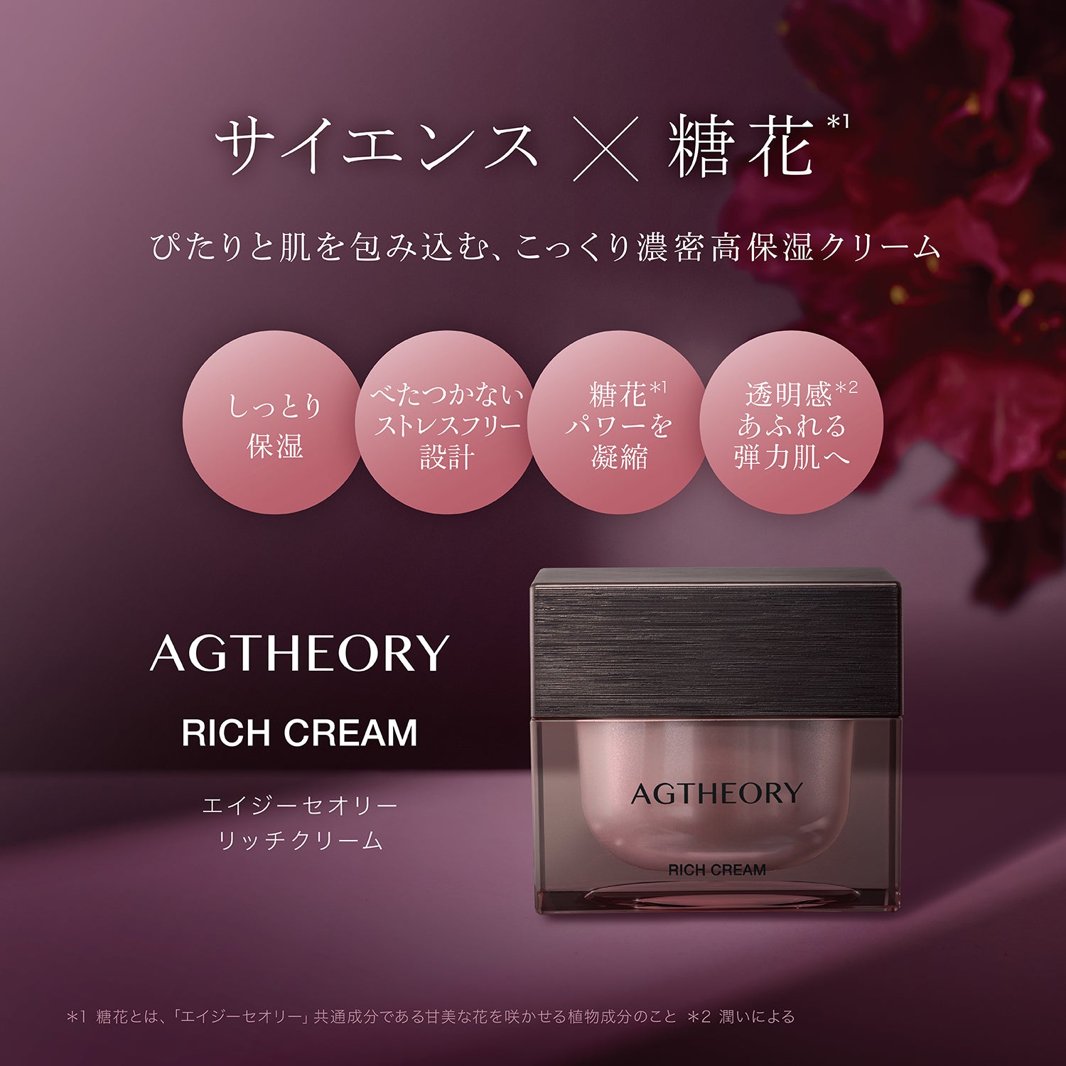 AGTHEORY Rich Cream 30g