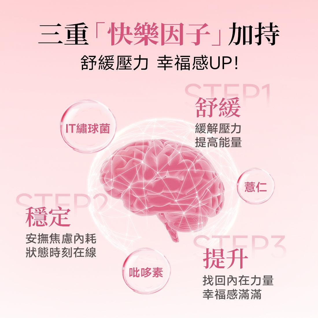 Venus Recipe 繡球菌养雌小粉果 120g