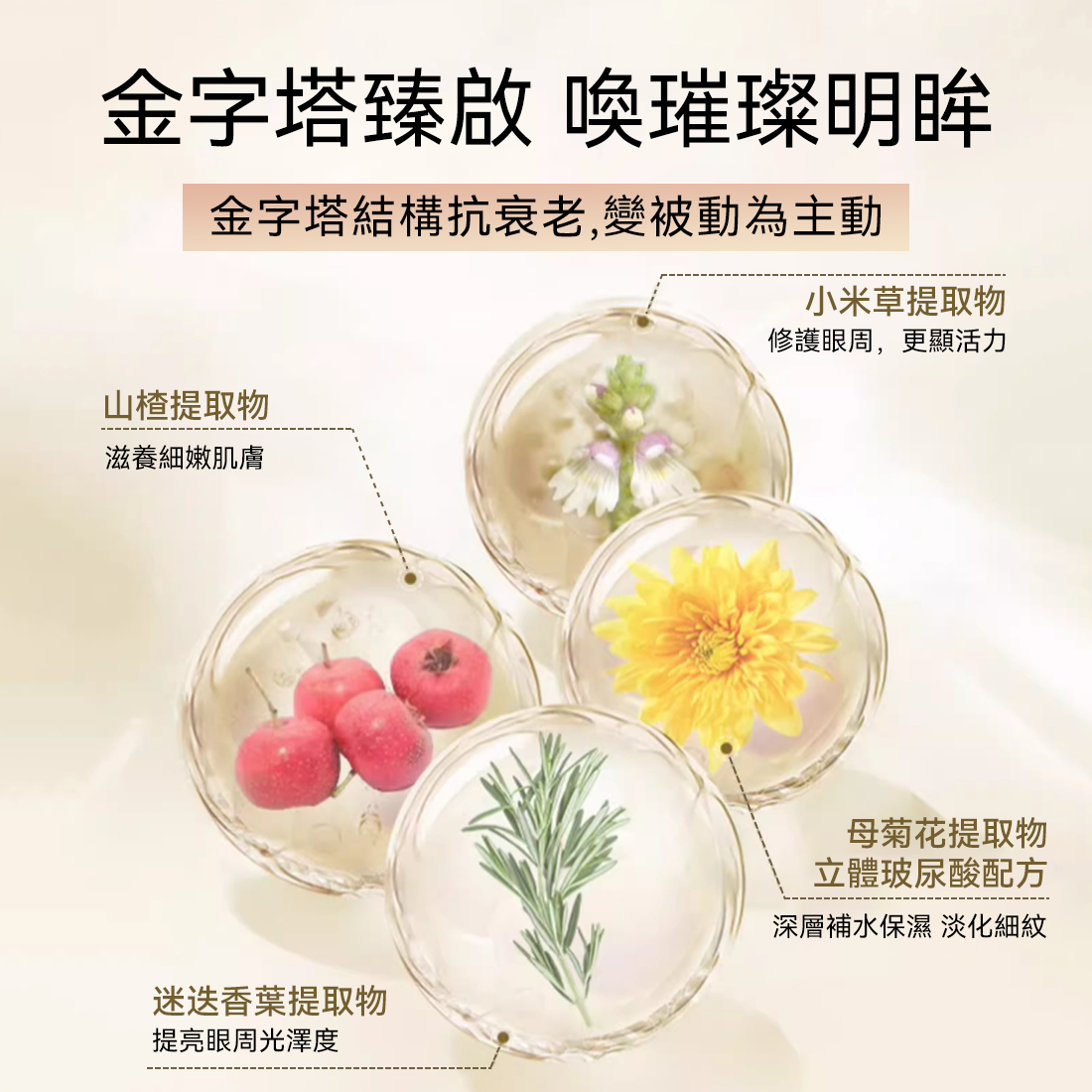 BEAUTY EYES 4D金字塔眼膜 2盒裝