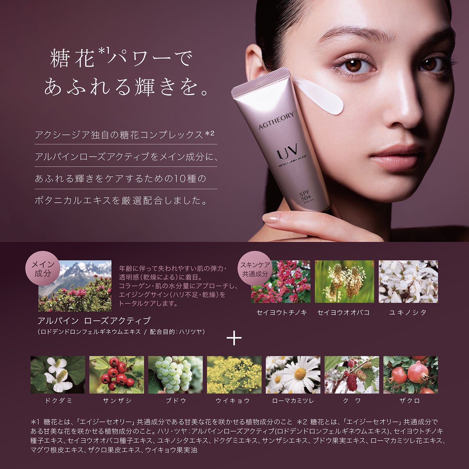 AGTHEORY 抗糖防曬精華 SPF50+ / PA++++ 40g