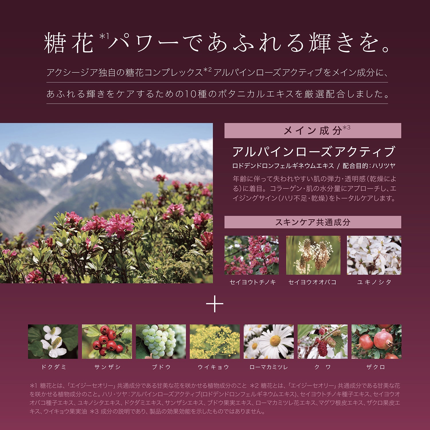 AGTHEORY 馥潤保濕面霜 30g